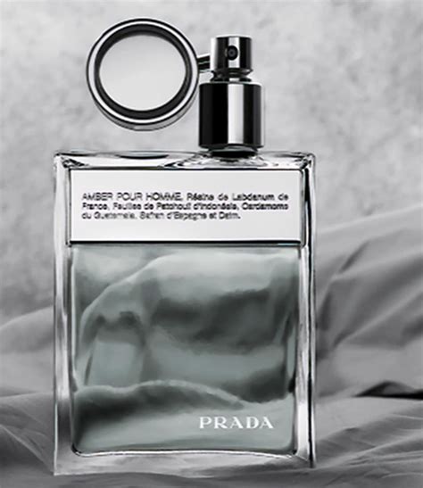 prada pour homme 1.7|Prada amber pour homme fragrantica.